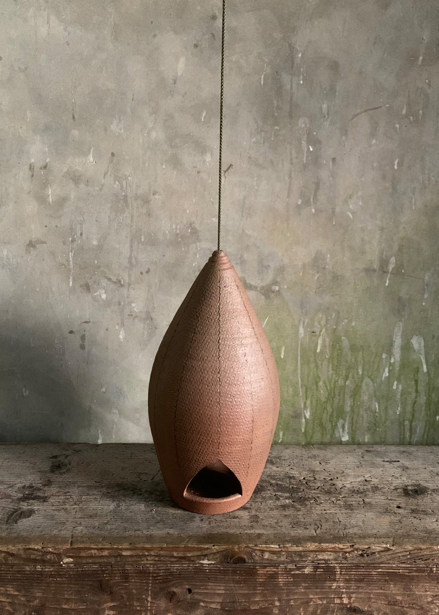 Bird Feeder 7