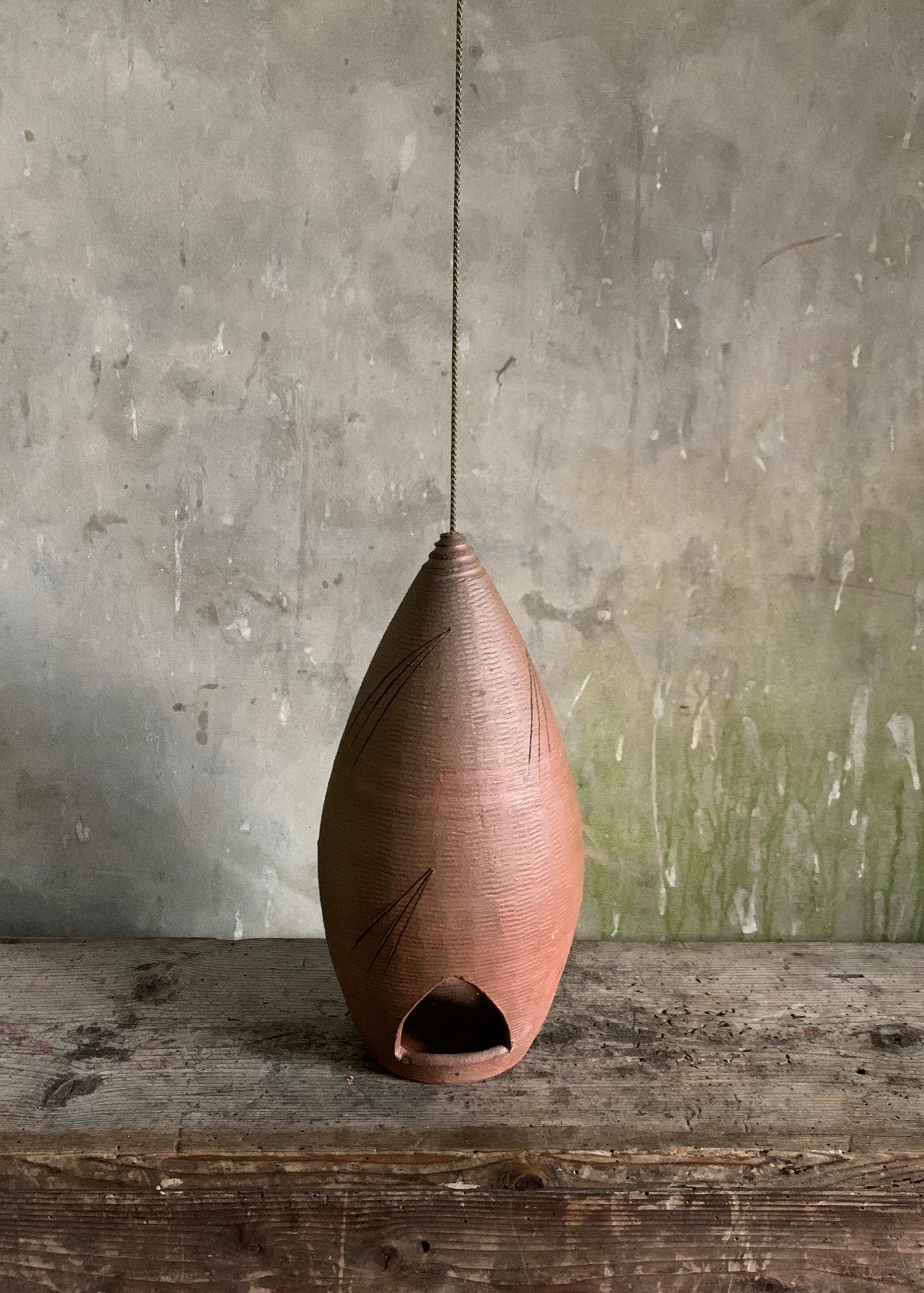 Bird Feeder 9