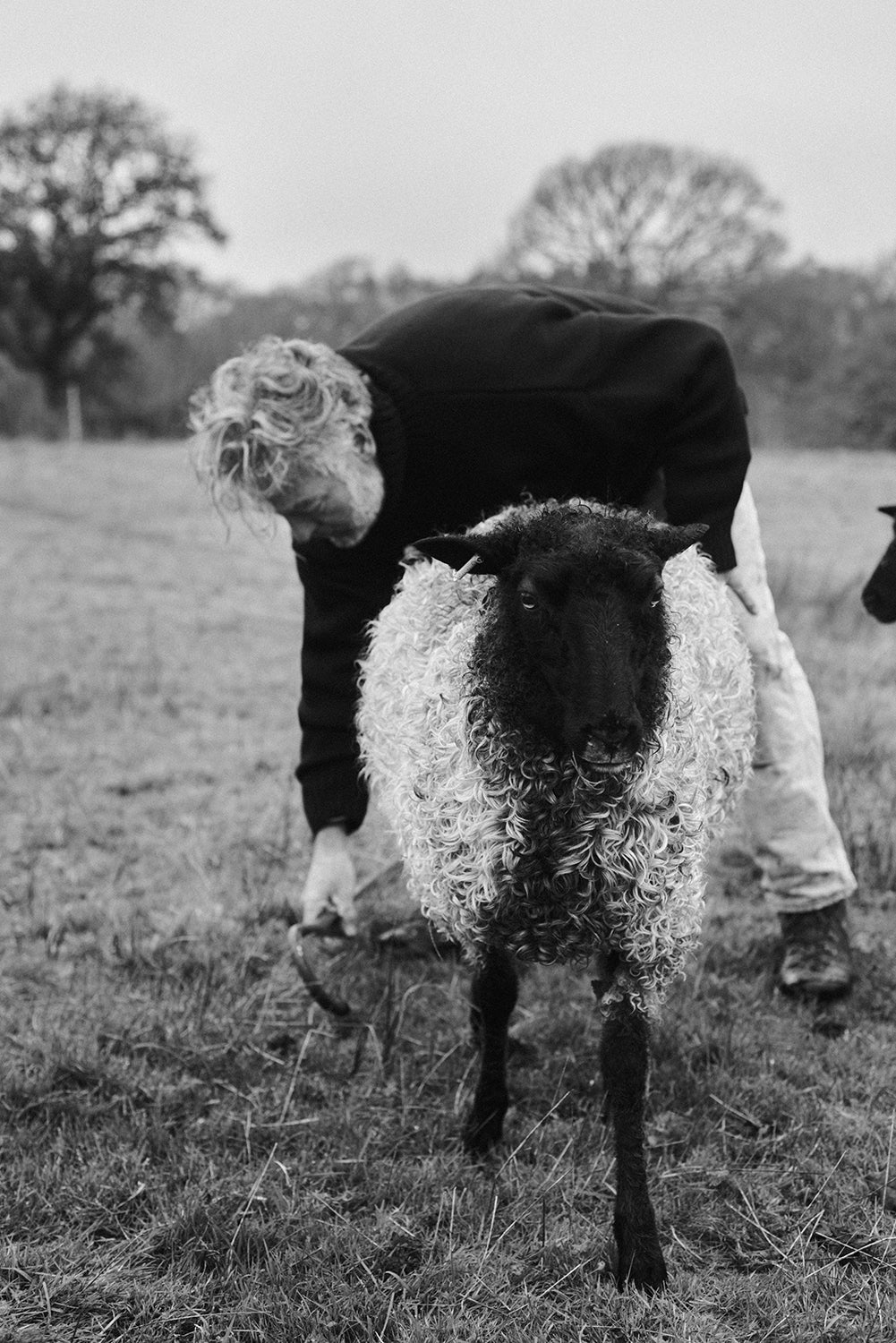 Organic Gotland Sheepskin Throw 3