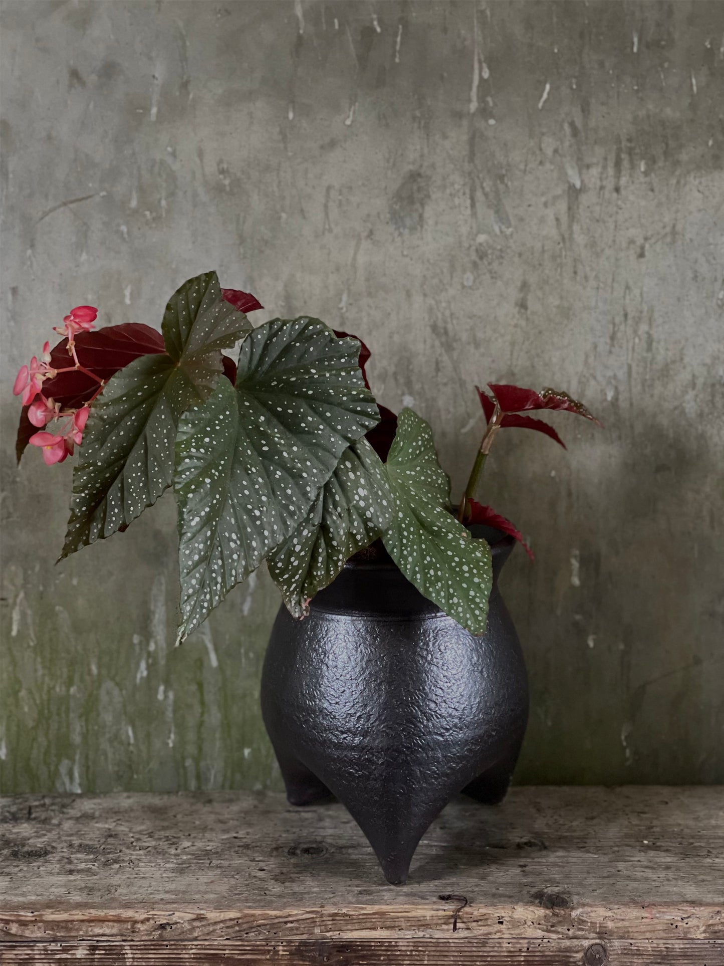 Glazed Tripod Pot Medium