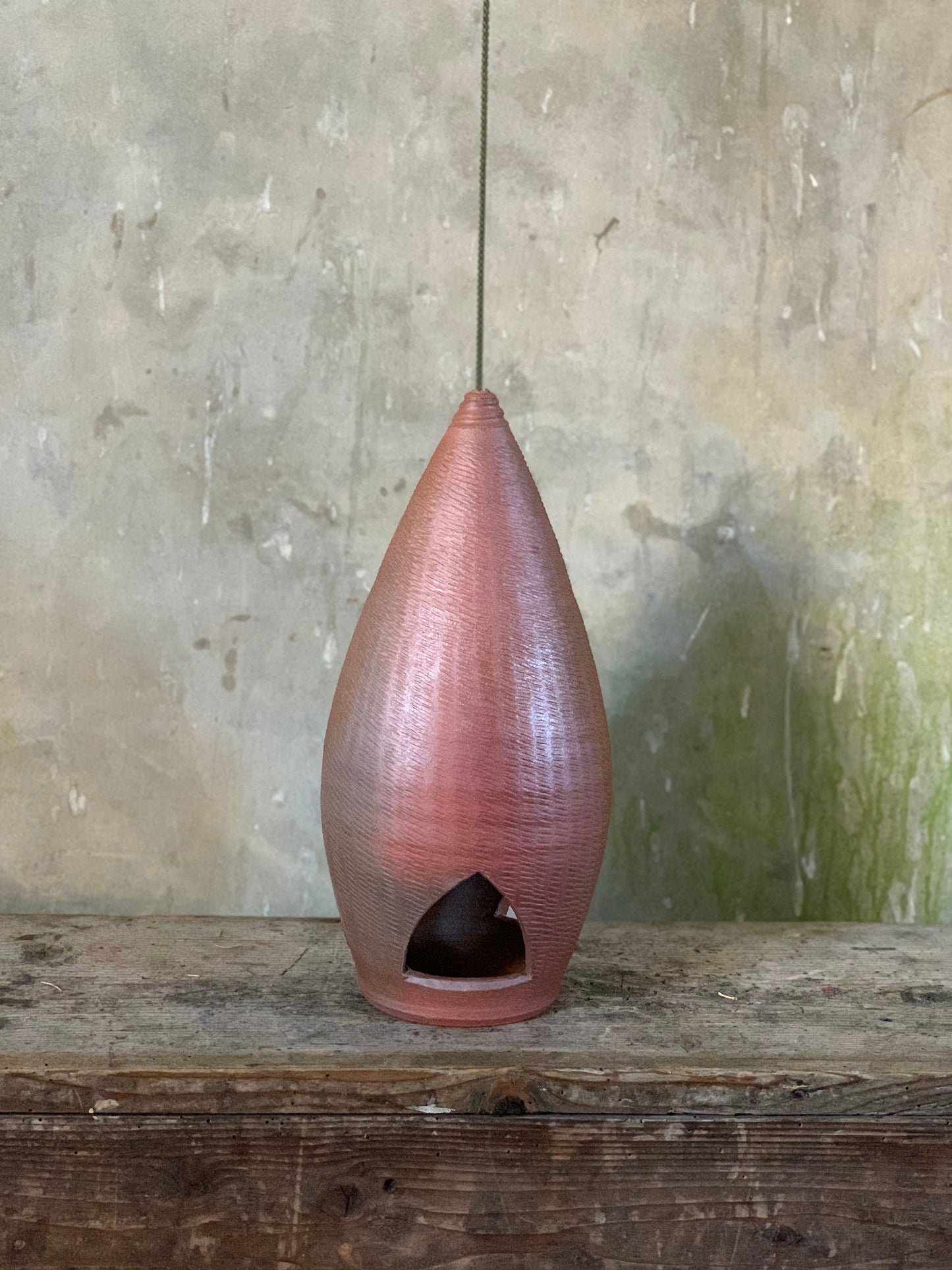 Bird Feeder 11