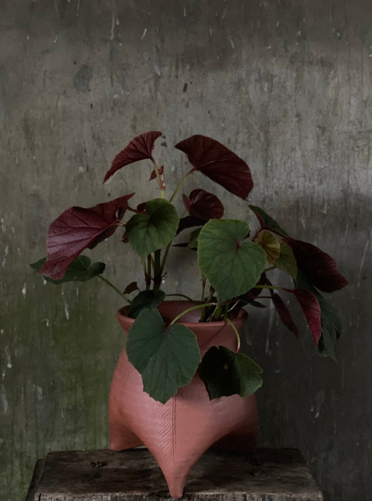 Tripod Pot Large