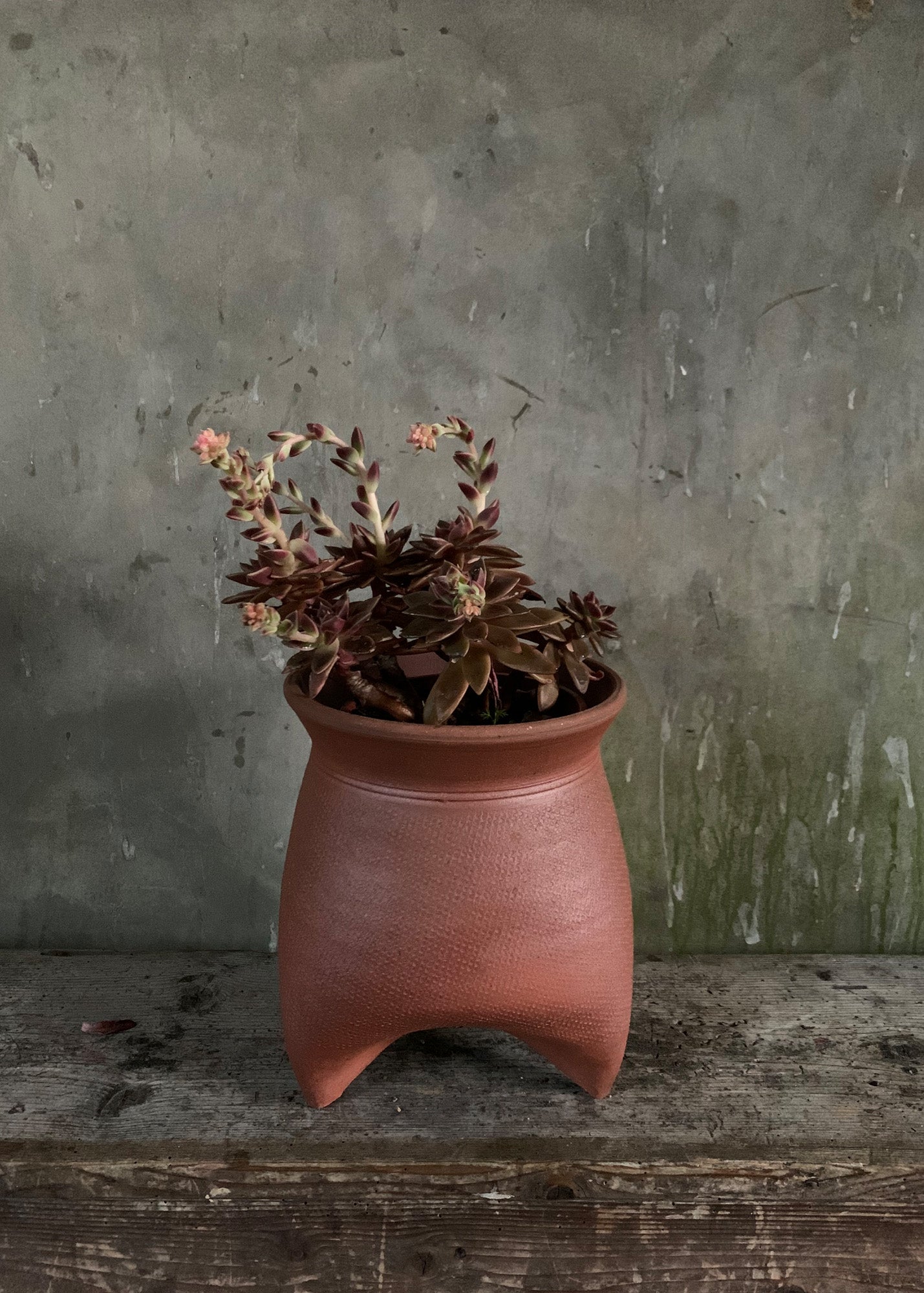 Medium Tripod Pot 3