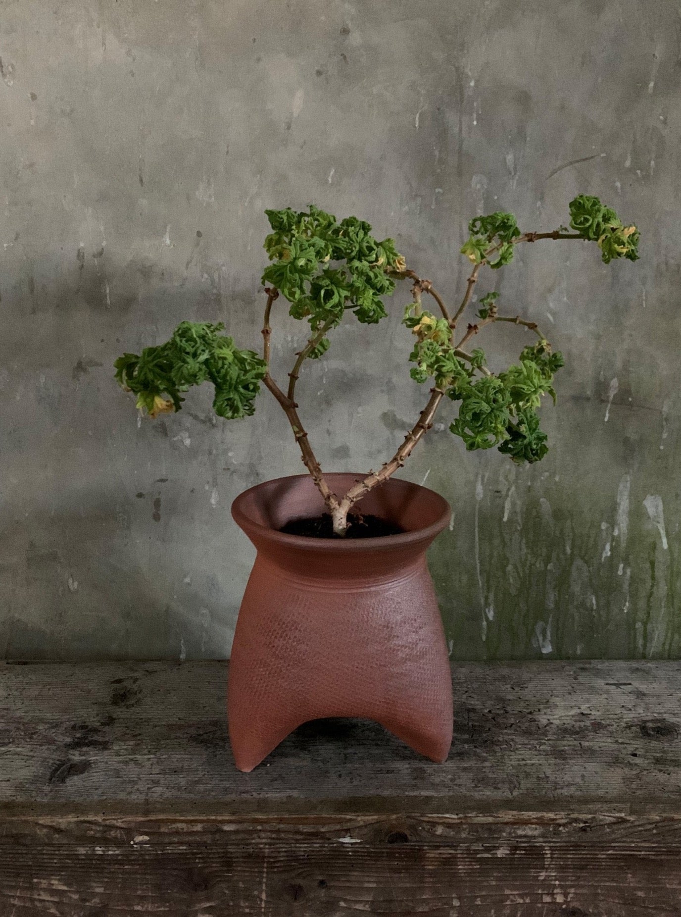 Tripod Pot 3
