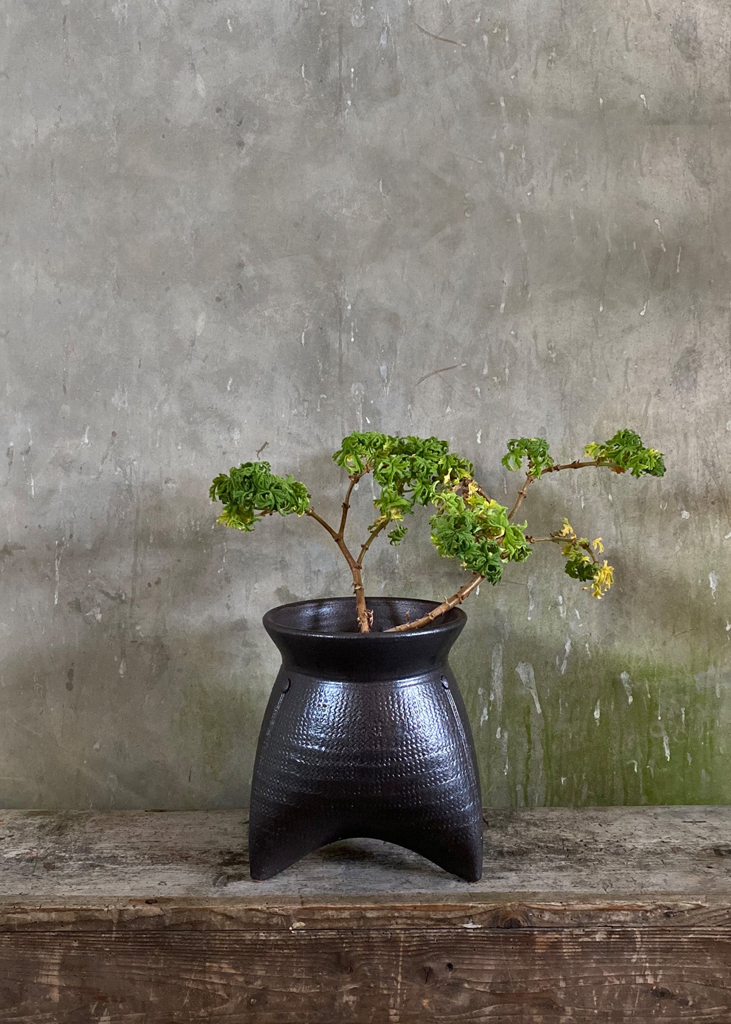 Glazed Tripod Pot 2