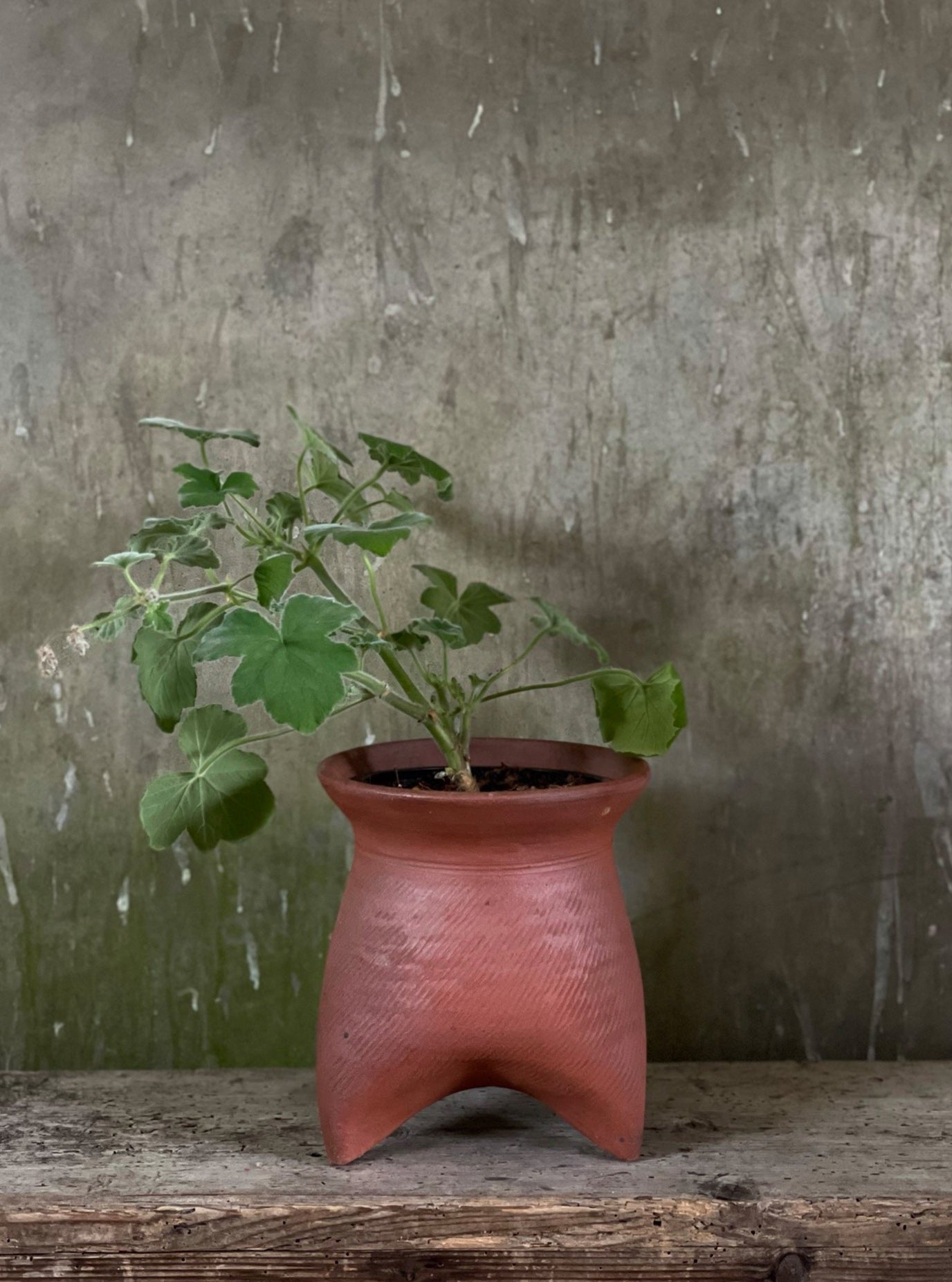 Tripod Pot 7