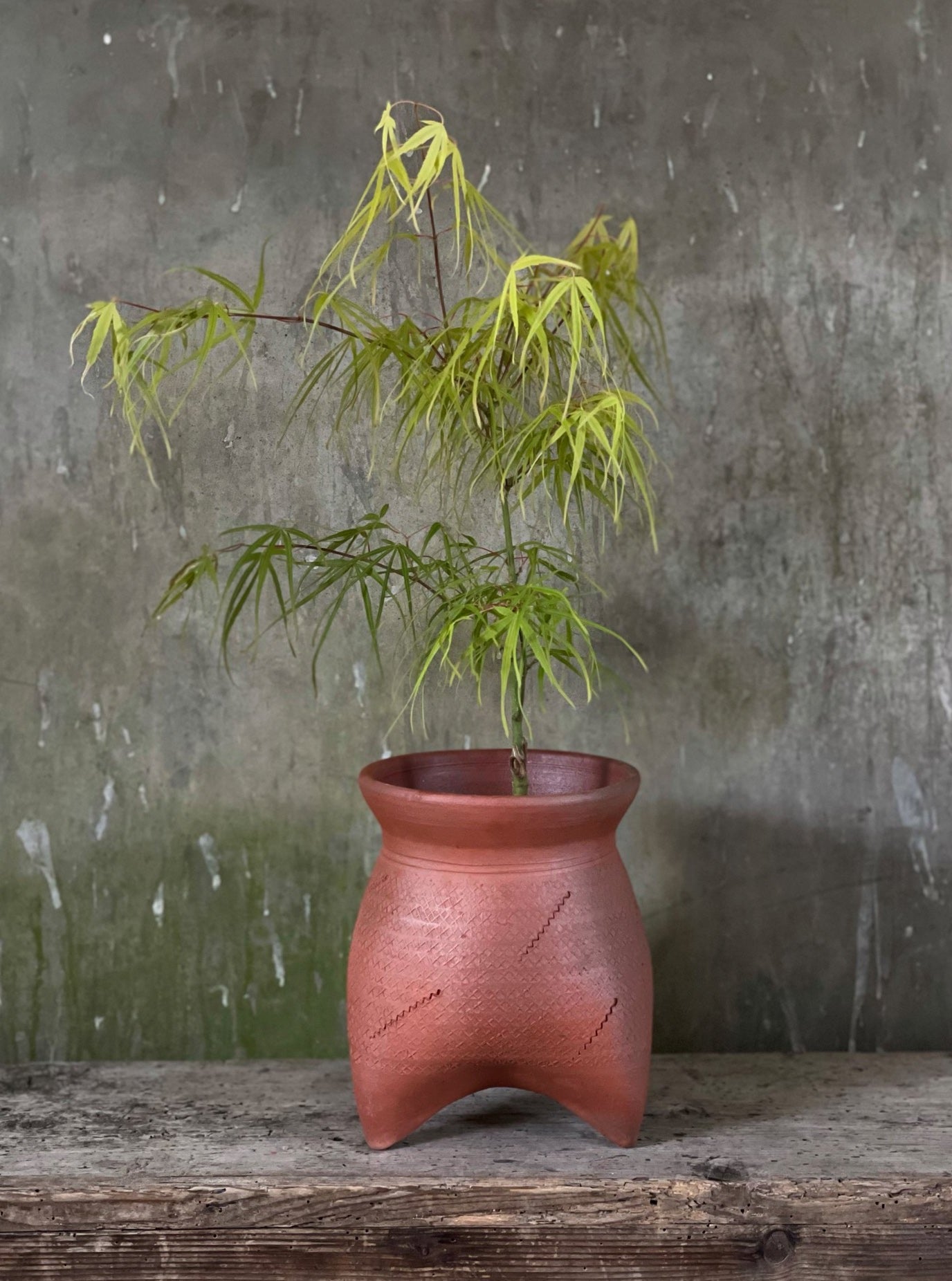 Tripod Pot 8