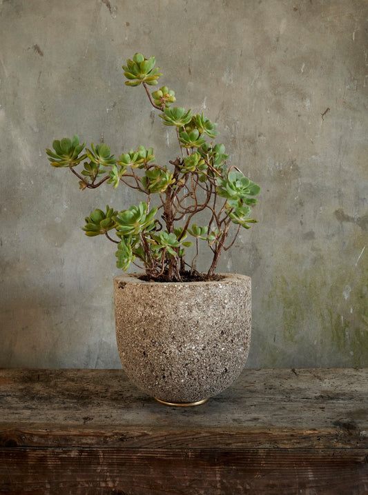 Hand Cast Rounded Stoneware Pot